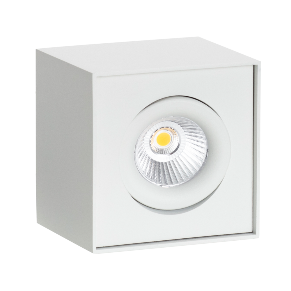 Utenpåliggende downlight Cobra