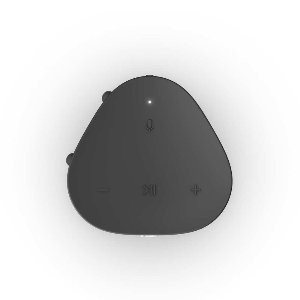 Sonos Roam