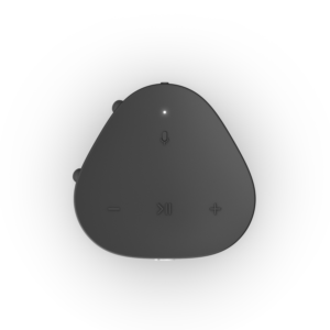 Sonos Roam