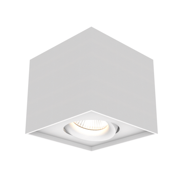 Hvit utenpåliggende downlight