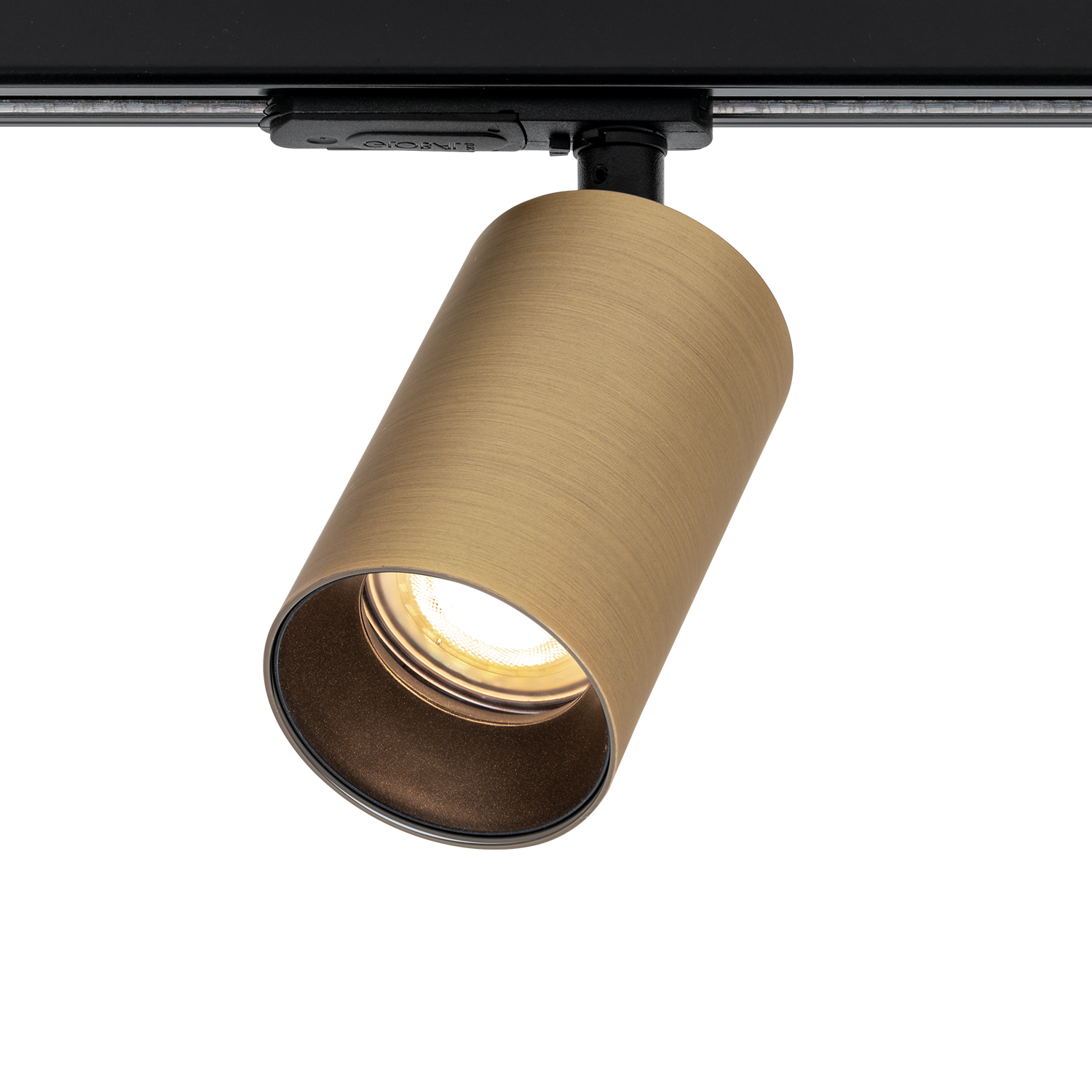 3556-21-Tania-Mini-GU10-brushed-brass-angle-light.png