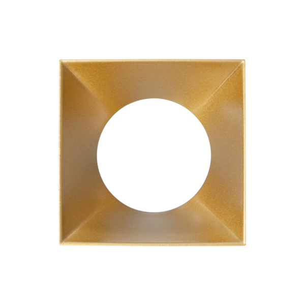 Kappa rise frontring, gull