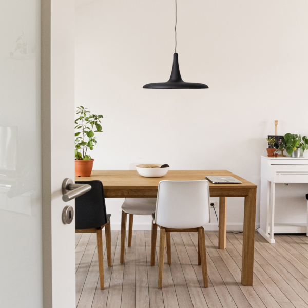 Disk takpendel, sort