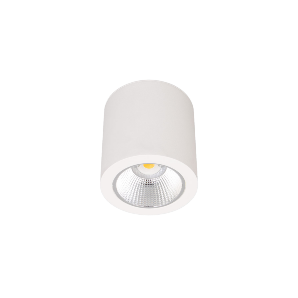 Leila C rund utenpåliggende downlight, sort/hvit